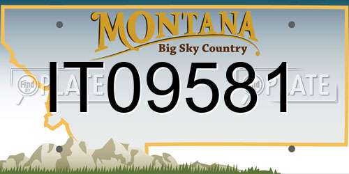IT09581 Montana License Plate