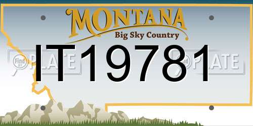 IT19781 Montana License Plate
