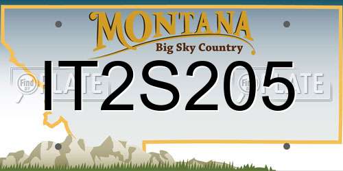 IT2S205 Montana License Plate