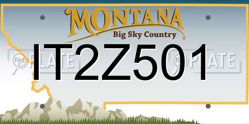 IT2Z501 Montana License Plate