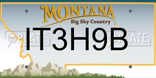 IT3H9B Montana License Plate