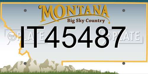 IT45487 Montana License Plate