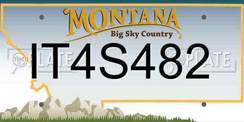 IT4S482 Montana License Plate