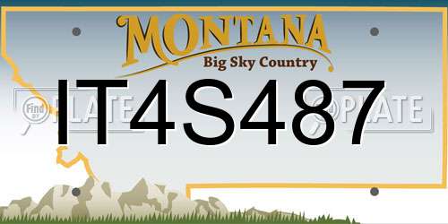 IT4S487 Montana License Plate