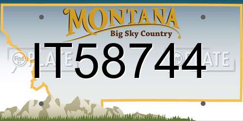 IT58744 Montana License Plate