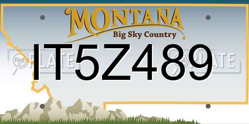IT5Z489 Montana License Plate