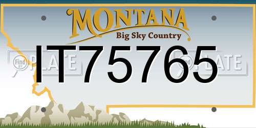 IT75765 Montana License Plate