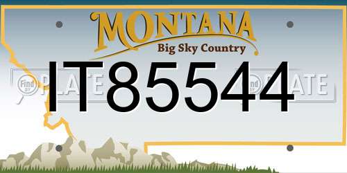 IT85544 Montana License Plate