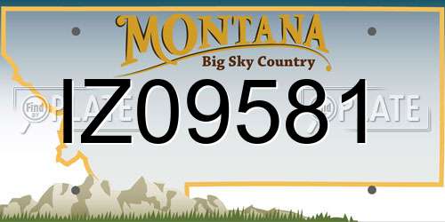IZ09581 Montana License Plate