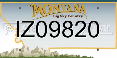 IZ09820 Montana License Plate