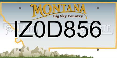 IZ0D856 Montana License Plate