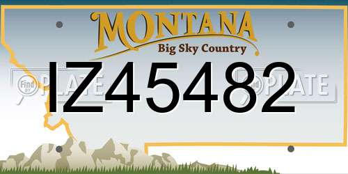 IZ45482 Montana License Plate