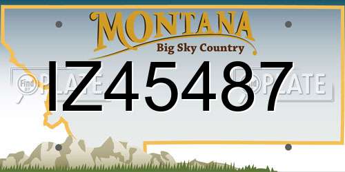 IZ45487 Montana License Plate