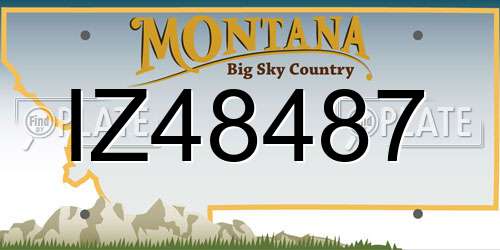 IZ48487 Montana License Plate
