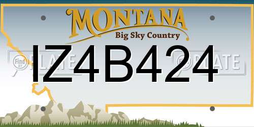 IZ4B424 Montana License Plate