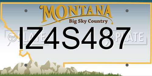 IZ4S487 Montana License Plate