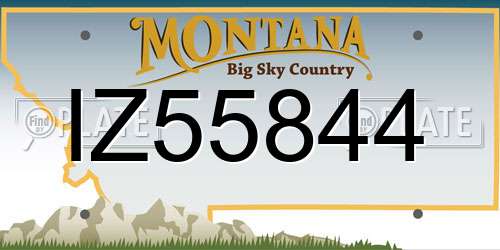 IZ55844 Montana License Plate