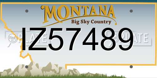 IZ57489 Montana License Plate
