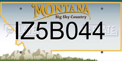 IZ5B044 Montana License Plate