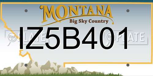 IZ5B401 Montana License Plate
