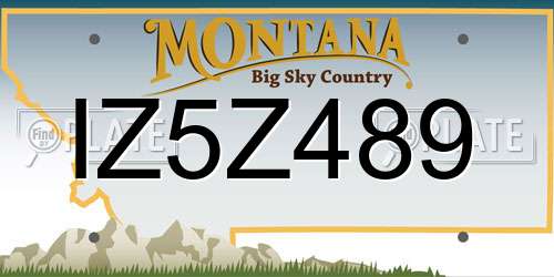 IZ5Z489 Montana License Plate