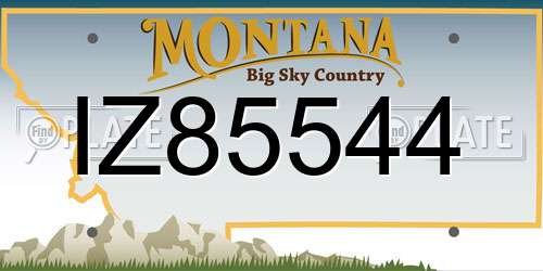 IZ85544 Montana License Plate