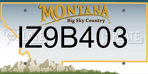 IZ9B403 Montana License Plate