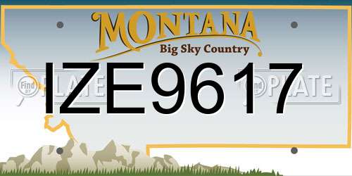 IZE9617 Montana License Plate