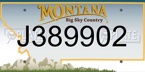 J389902 Montana License Plate