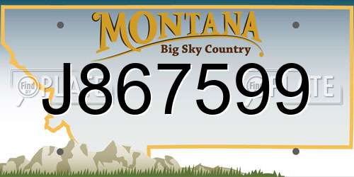 J867599 Montana License Plate