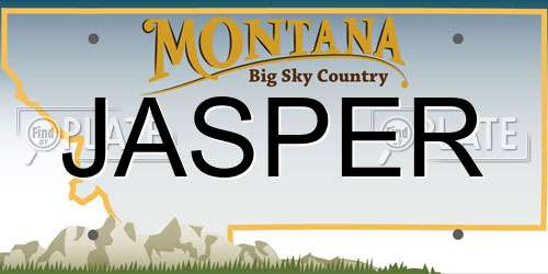 JASPER Montana License Plate