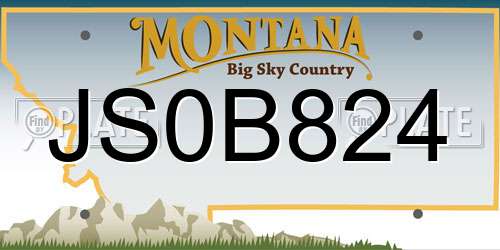 JS0B824 Montana License Plate