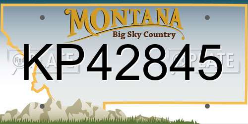 KP42845 Montana License Plate