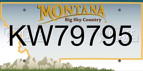 KW79795 Montana License Plate