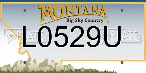 L0529U Montana License Plate