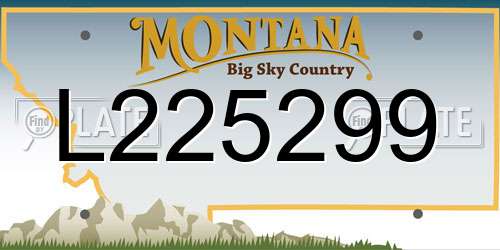 L225299 Montana License Plate