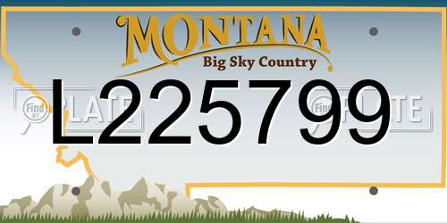 L225799 Montana License Plate