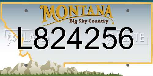 L824256 Montana License Plate