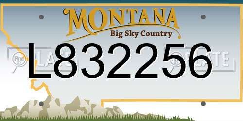 L832256 Montana License Plate