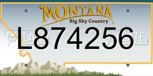 L874256 Montana License Plate