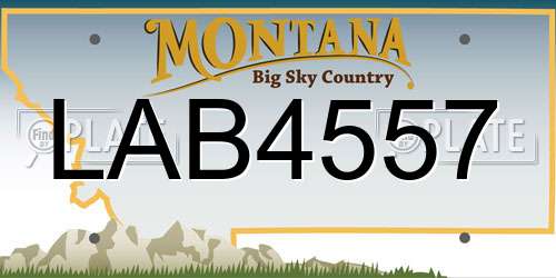 LAB4557 Montana License Plate