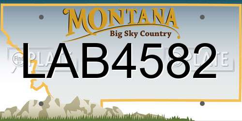 LAB4582 Montana License Plate