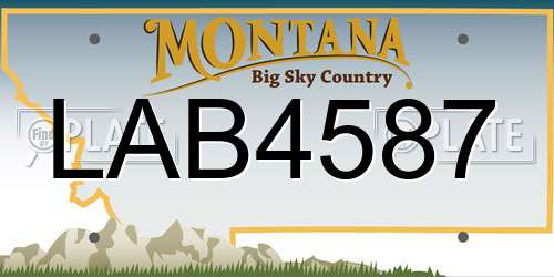 LAB4587 Montana License Plate