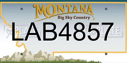 LAB4857 Montana License Plate