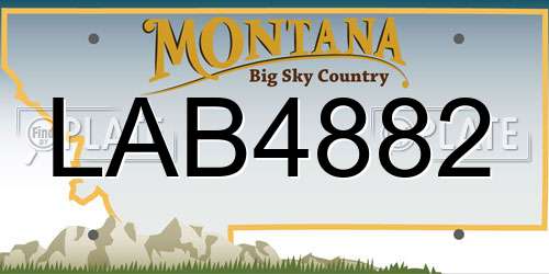 LAB4882 Montana License Plate