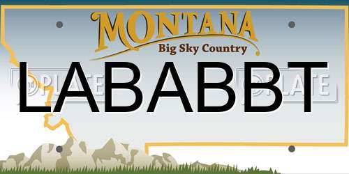 LABABBT Montana License Plate
