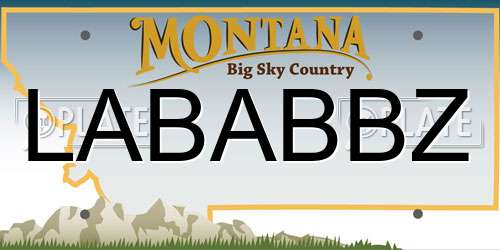 LABABBZ Montana License Plate