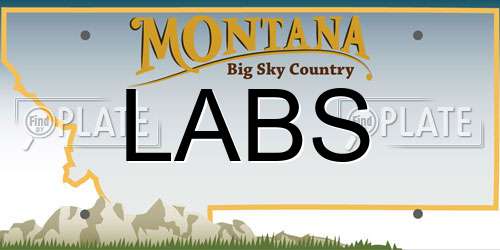 LABS Montana License Plate