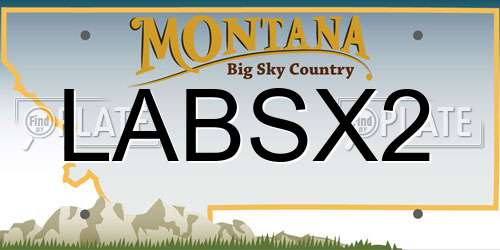 LABSX2 Montana License Plate