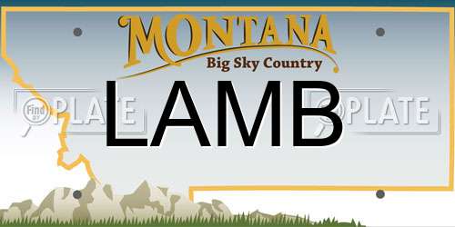 LAMB Montana License Plate